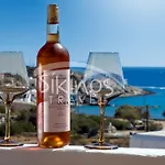 아파트호텔 Galini Travel Síkinos
